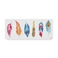 Trademark Fine Art Farida Zaman 'Rainbow Feathers II' Canvas Art, 14x32 WAP03874-C1432GG